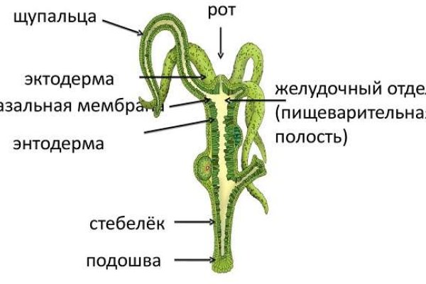 Сайт кракен официальный ссылка onion